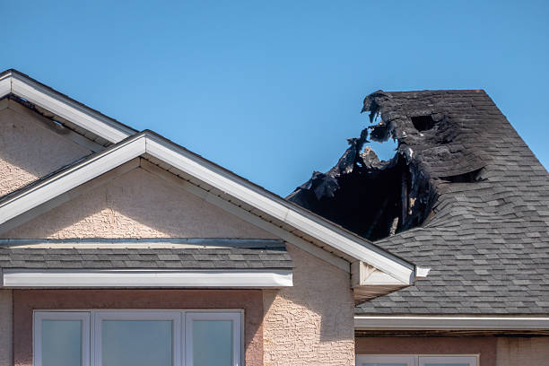 Top rated local Board Up Services specialists in Brownton, MN